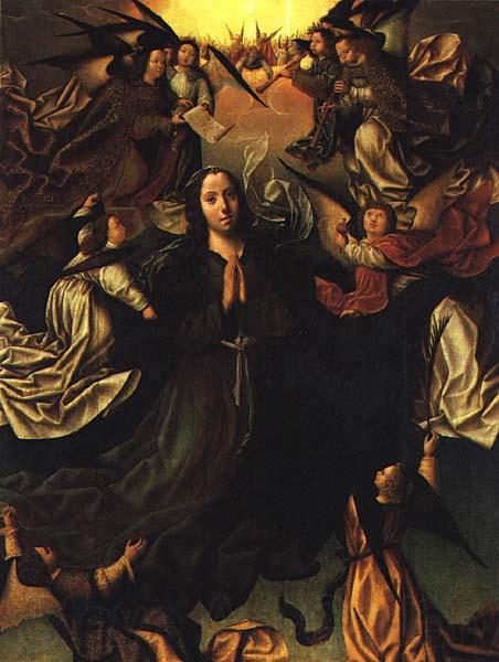 FERNANDES, Vasco Assumption of the Virgin  dfg Spain oil painting art
